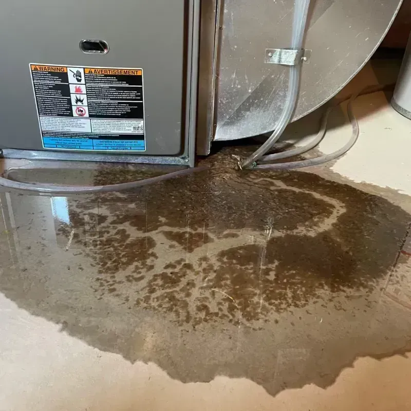 Appliance Leak Cleanup in Washington, MO